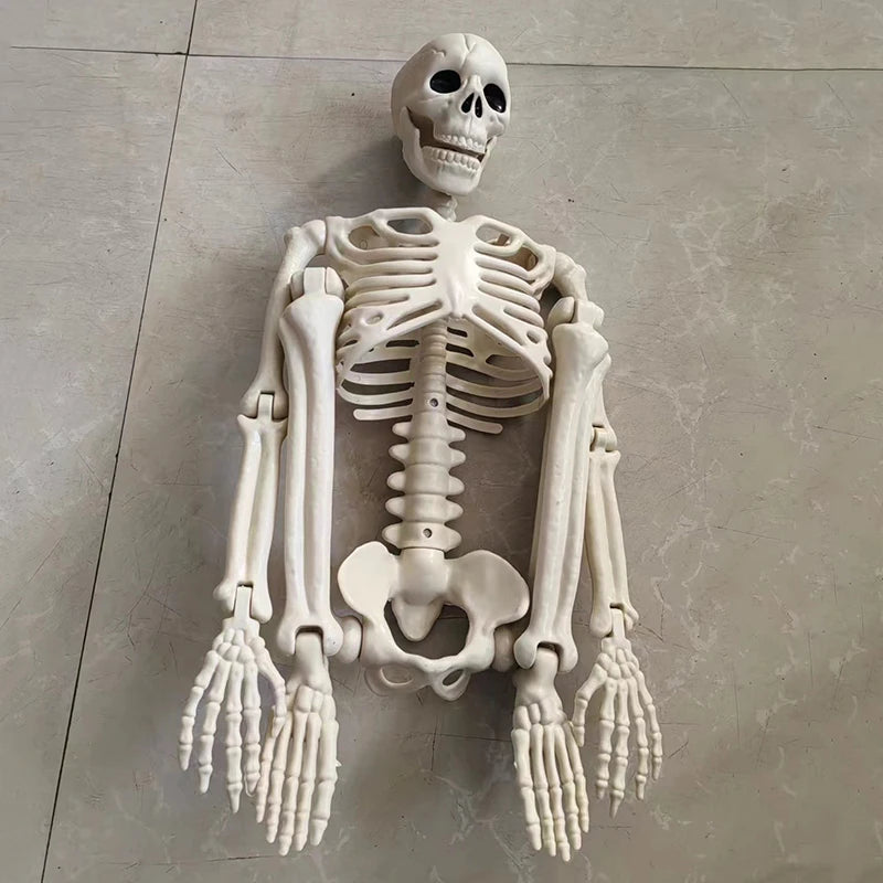 Movable Skeleton Haunted House Decoration