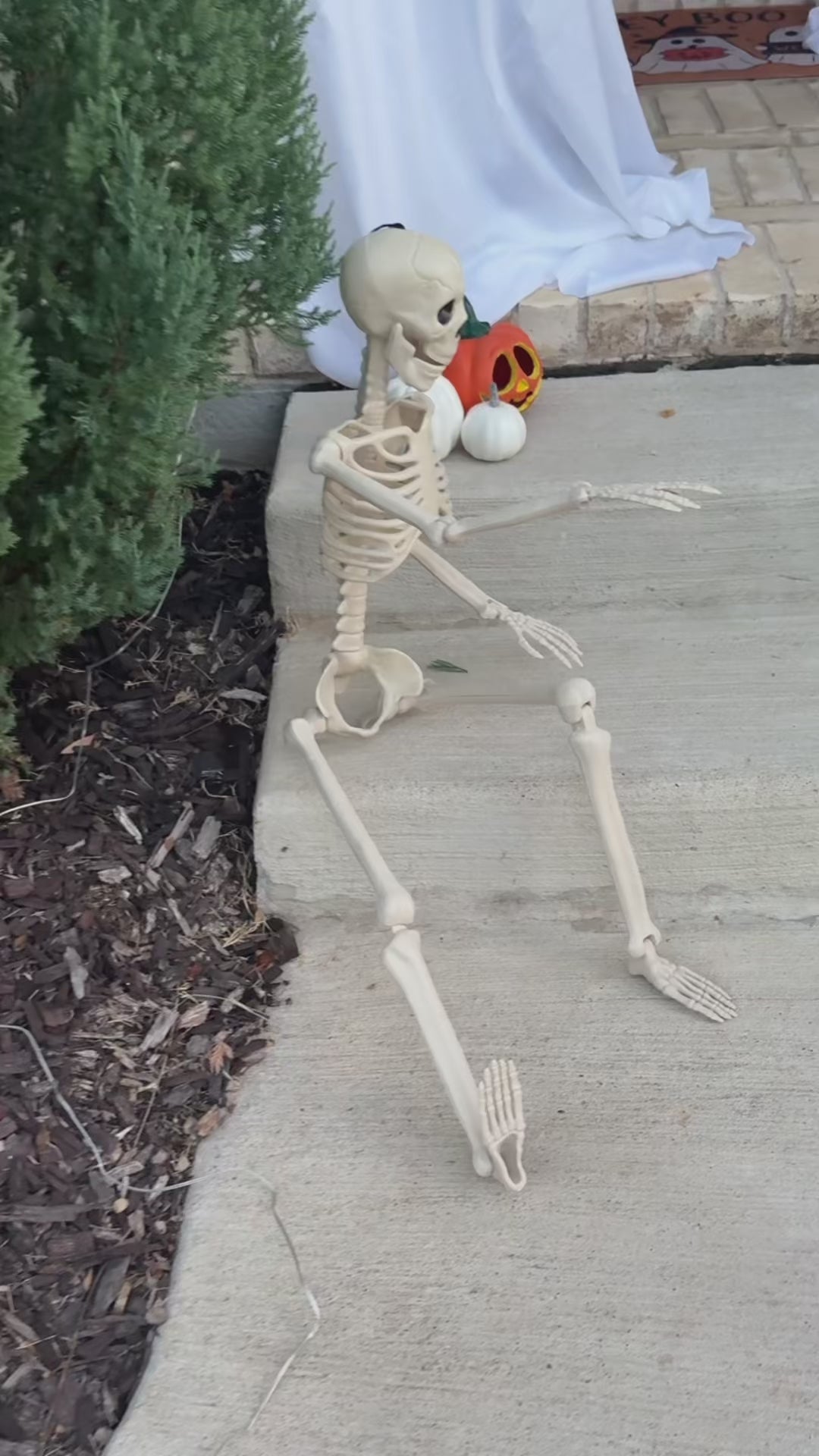 Movable Skeleton Haunted House Decoration